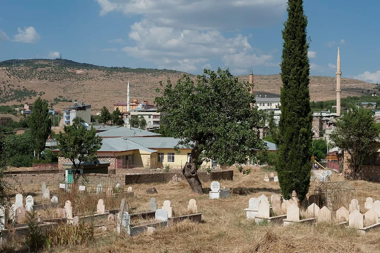 Tillo Köyü Mezarlığı + Tarihî Yapılar
