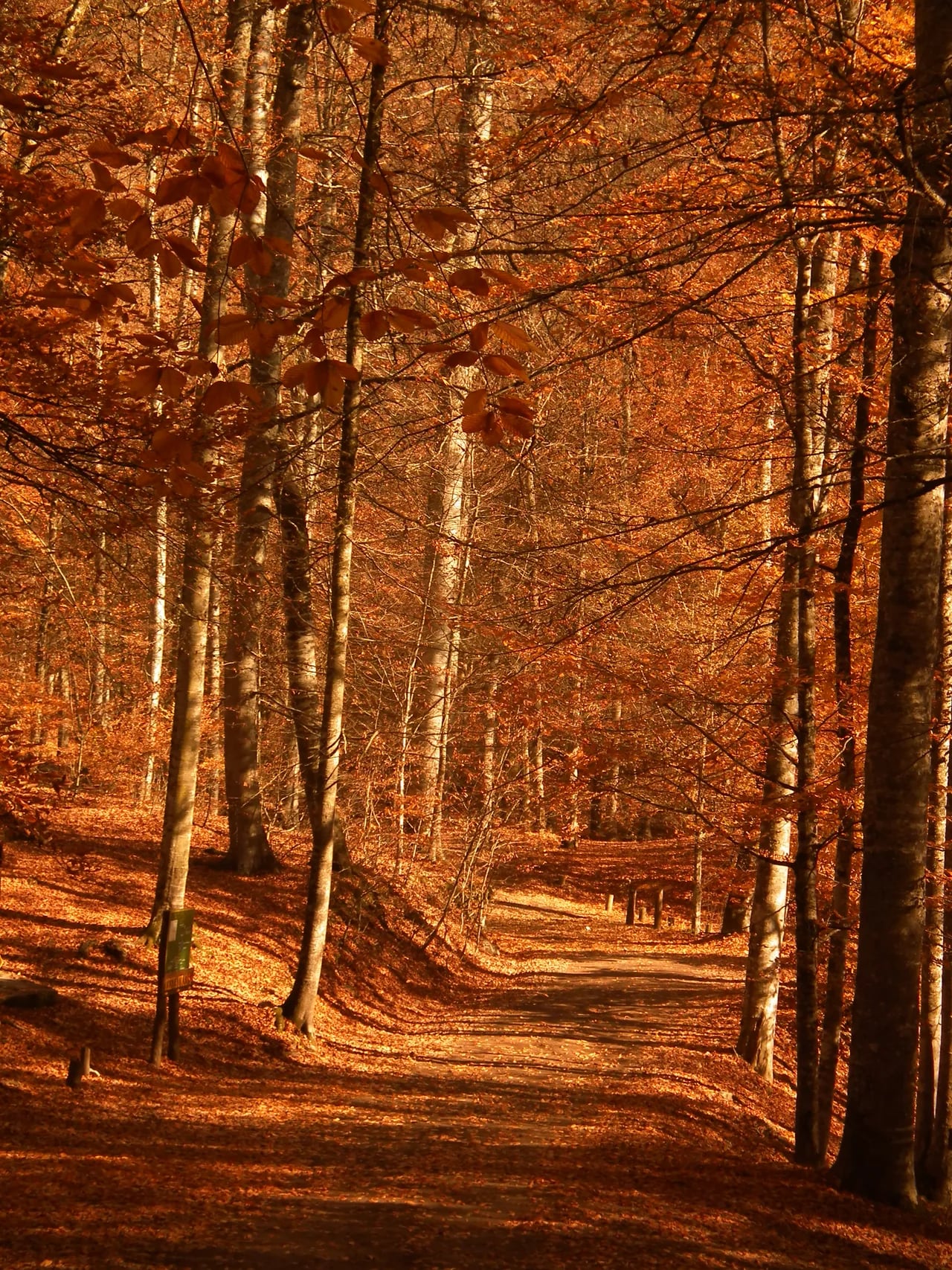 Bolu - Düzce
