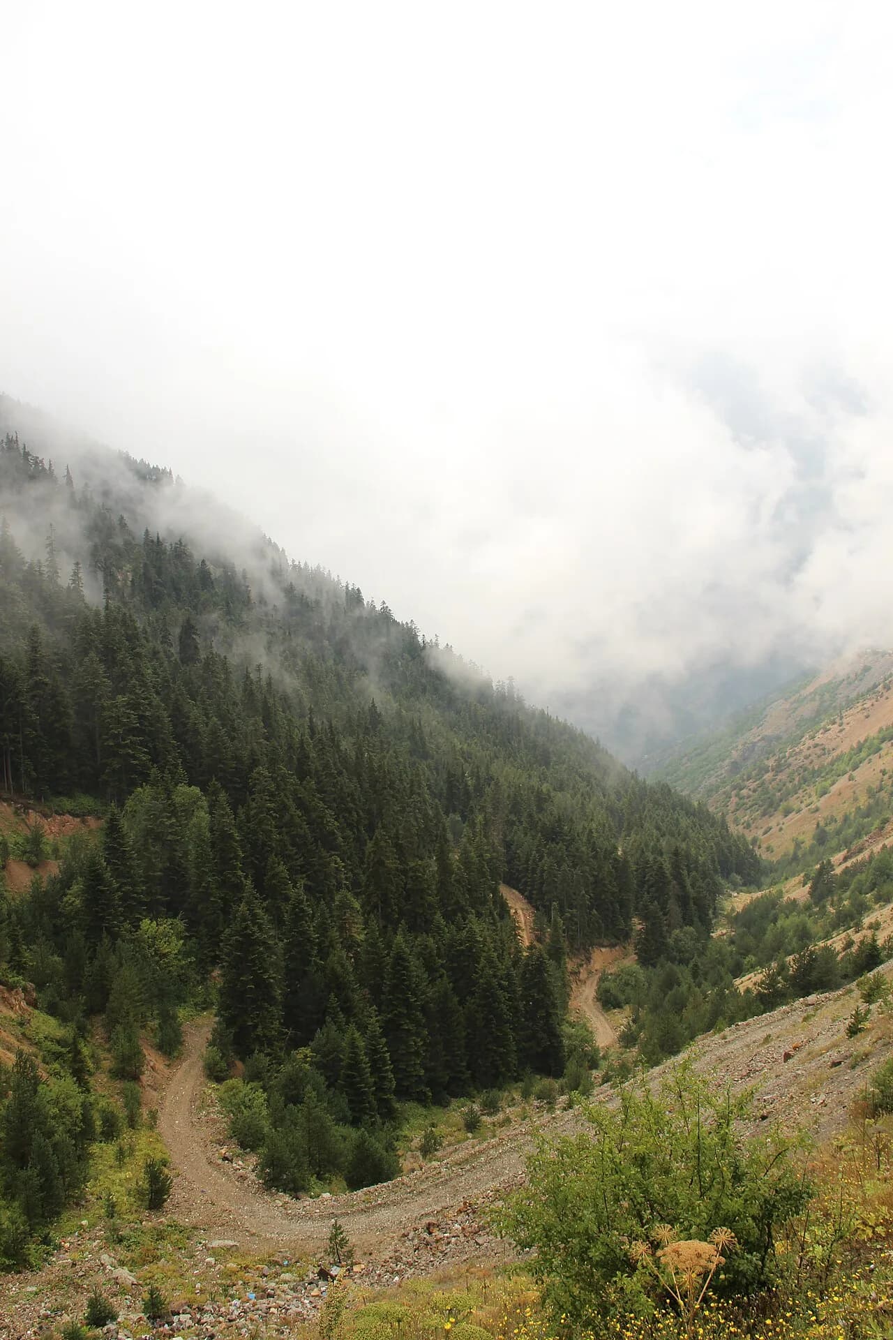 Zigana Geçidi & Tüneli (2.025 m)