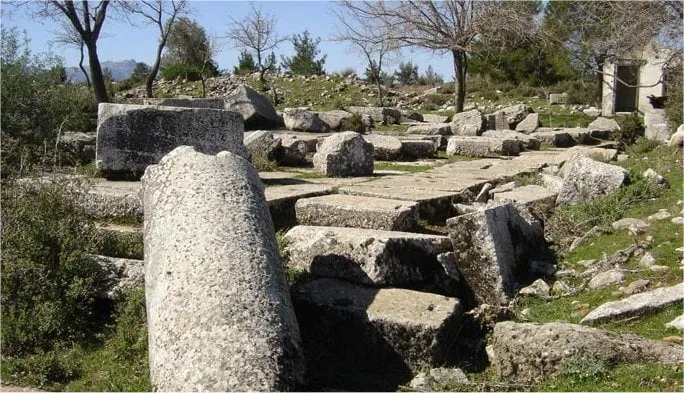 Amyzon öreninde devrilmiş sütun ve dağınık kesme taş bloklar, arkada çam ağaçları