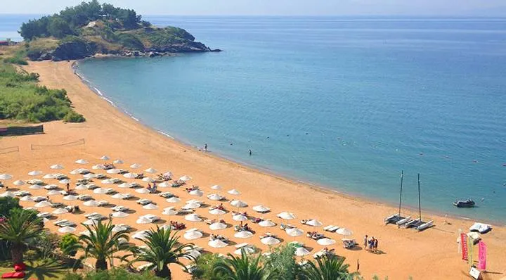 Özdere plajı: şemsiye sıraları ve kumsalın ucundaki yeşil burun