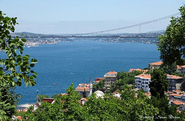 Fethipaşa Korusu