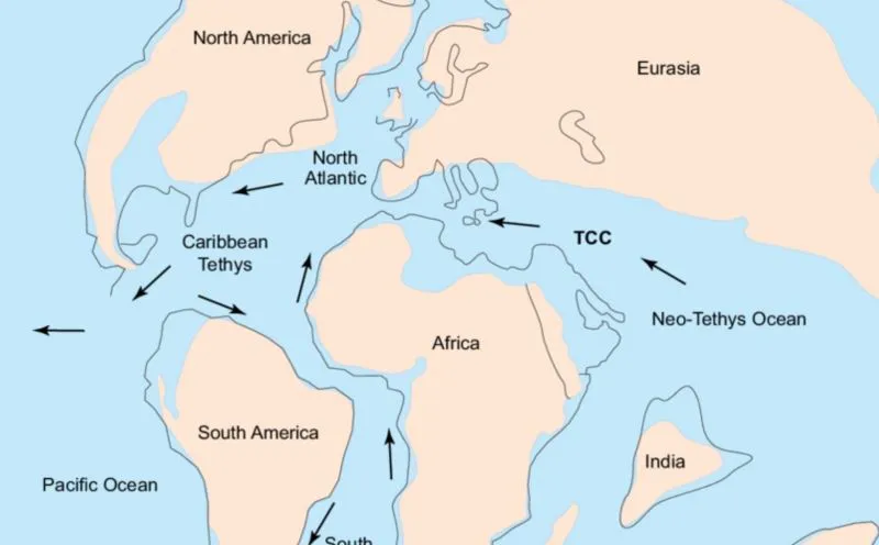 Tetis Denizi paleocoğrafya haritası: kıtaların eski konumları ve okyanus akıntısı okları