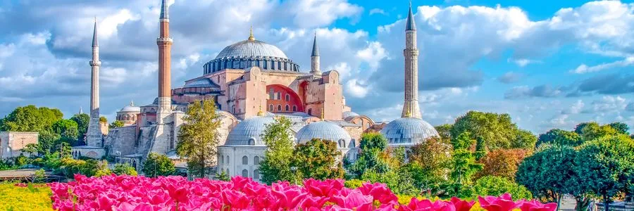 Pembe lalelerin arkasında Ayasofya ve minareleri, parçalı bulutlu gökyüzü