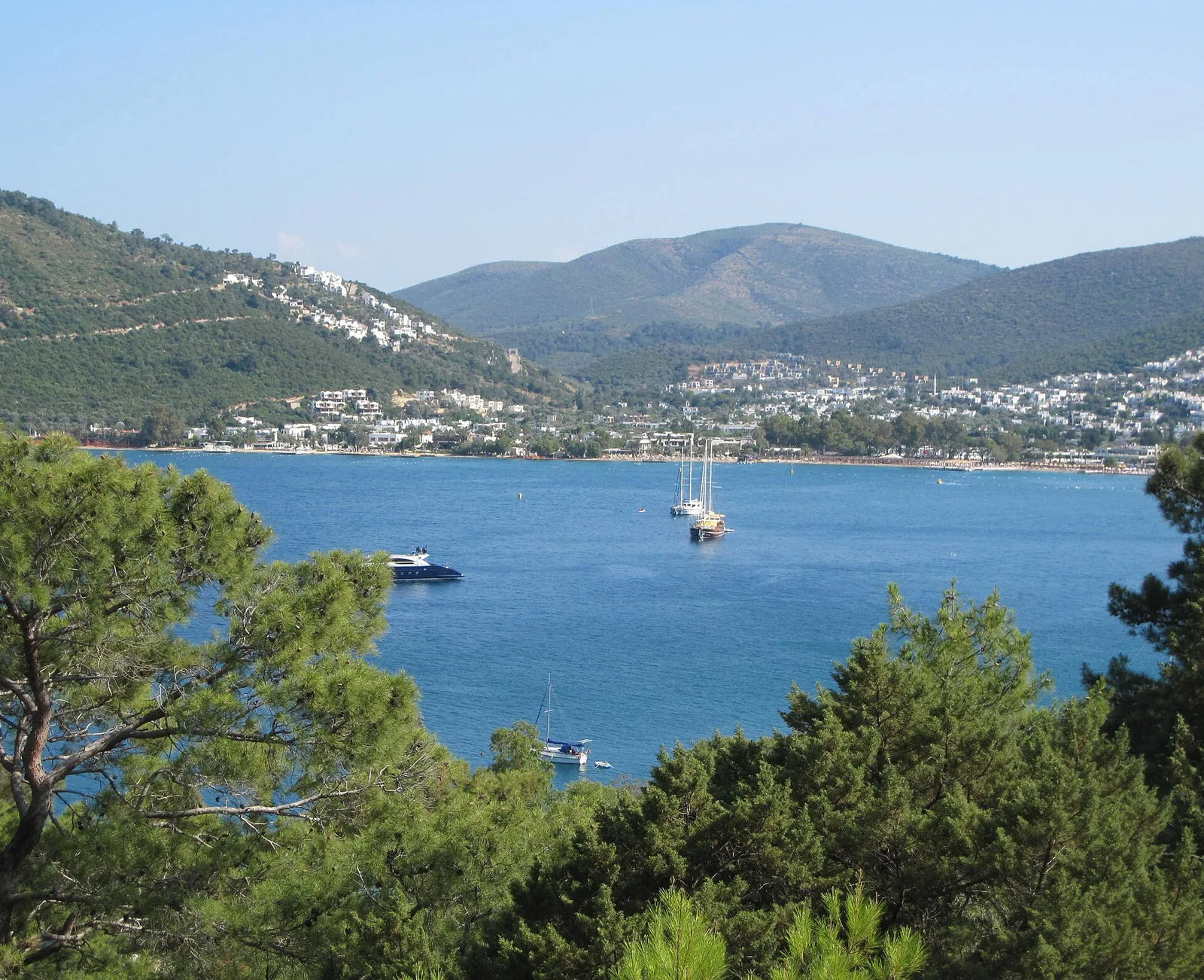 Çam ağaçlarının arasından Torba Koyu: sakin deniz, demirlemiş guletler ve yamaçtaki beyaz Bodrum evleri